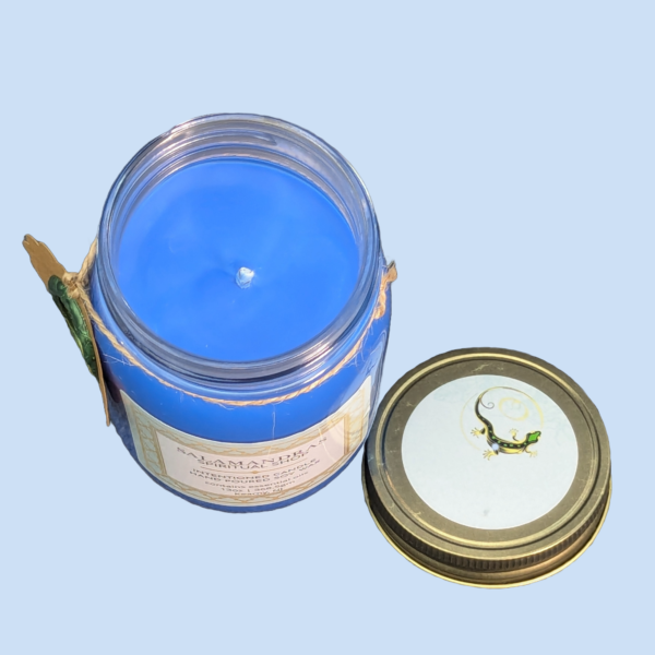 Salamandras-Spiritual-Shop-blue5.png