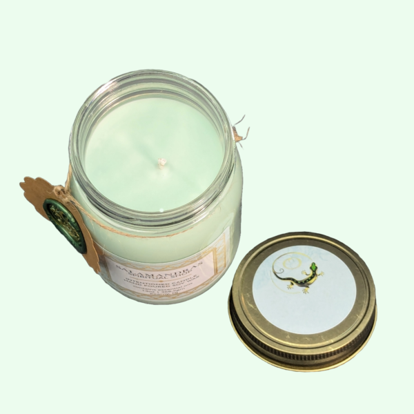Salamandras-Spiritual-Shop-softgreen5.png